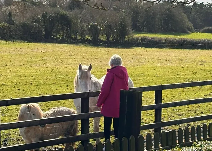 Hideaway Huts In The Burren Casa vacanze
